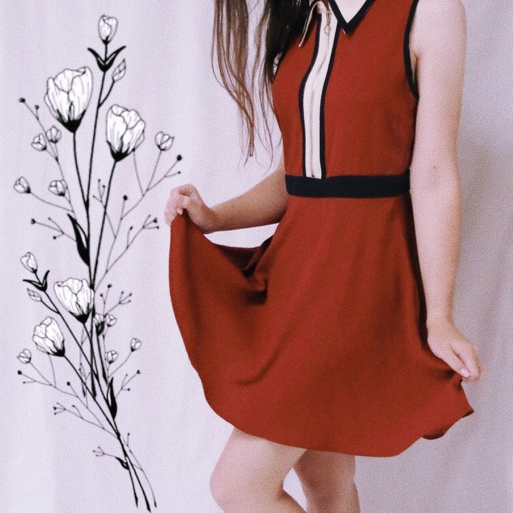 Burnt Orange Navy Cream Collared Sleeveless Dress